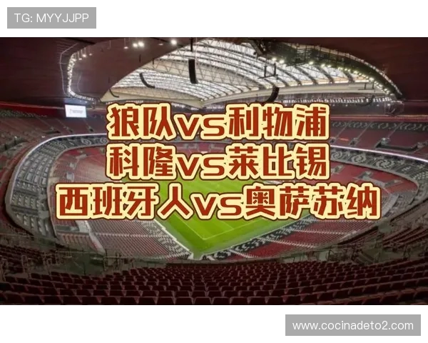 西班牙人主场与奥萨苏纳激战上半场双方0比0僵持未决 西班牙人主场与奥萨苏纳激战上半场双方0比0僵持未决